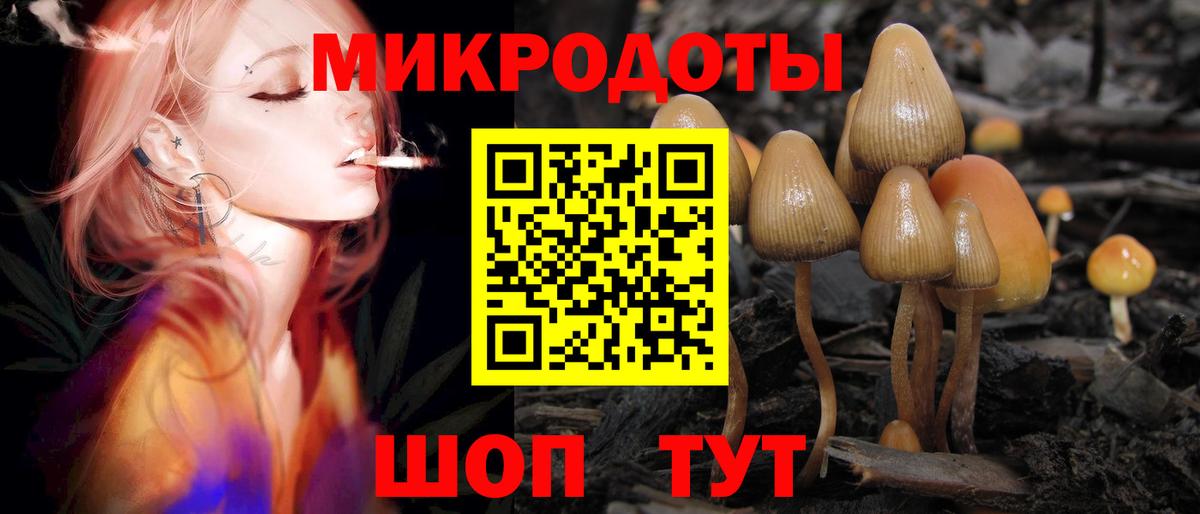 Галлюциногенные грибы GOLDEN TEACHER Саяногорск