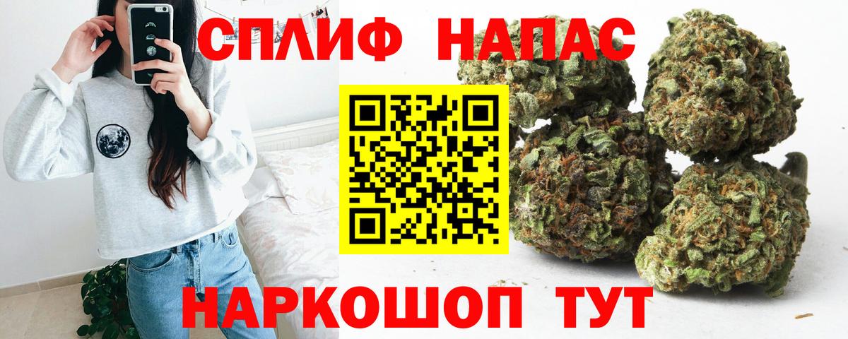 Бошки Шишки семена  Вход с VPN  Саяногорск  Шишки марихуана семена  Конопля сатива 